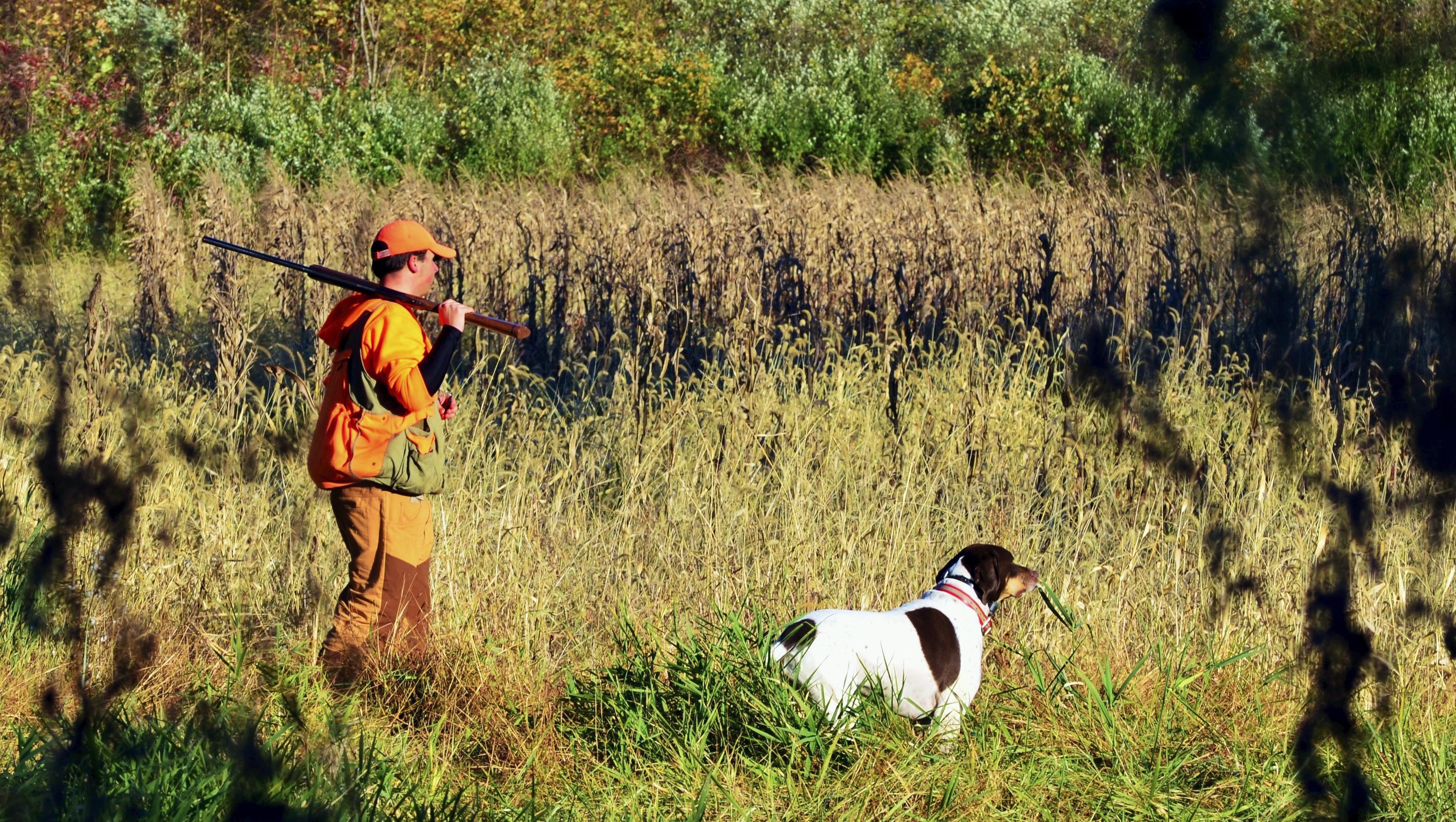 Price Of Pa Hunting Fishing License May Rise