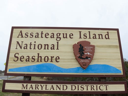 Assateague Island National Seashore Per Person Entrance