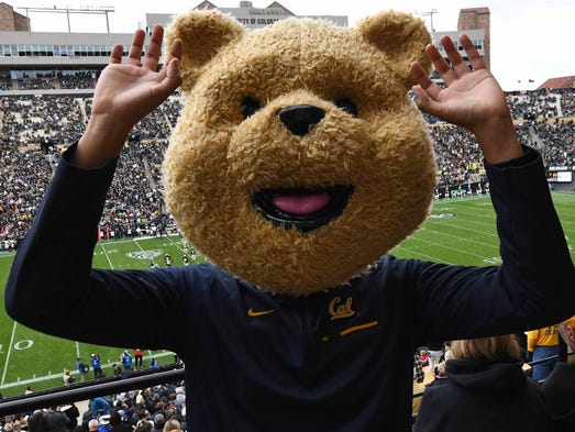 General view of a California Golden Bears fan with