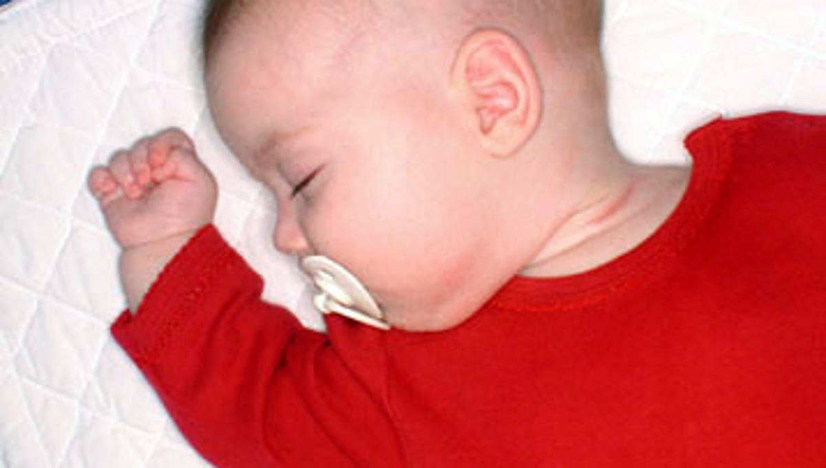 Babies May Get Allergy Protection From Cats Even Roaches