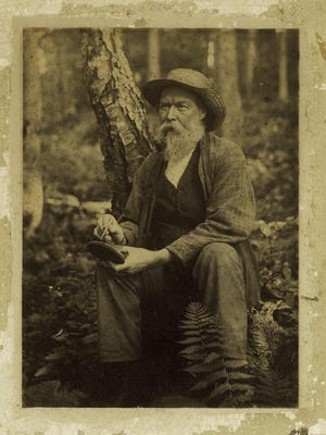 Rowland Evans Robinson (1833-1900) sketching on a tree fungus, 1889.