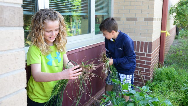 McKinley Doll, left, and Davis Edmonds, right, students at Oakview Elementary School, pull weeds in the school's Butterfly Garden on Tuesday.