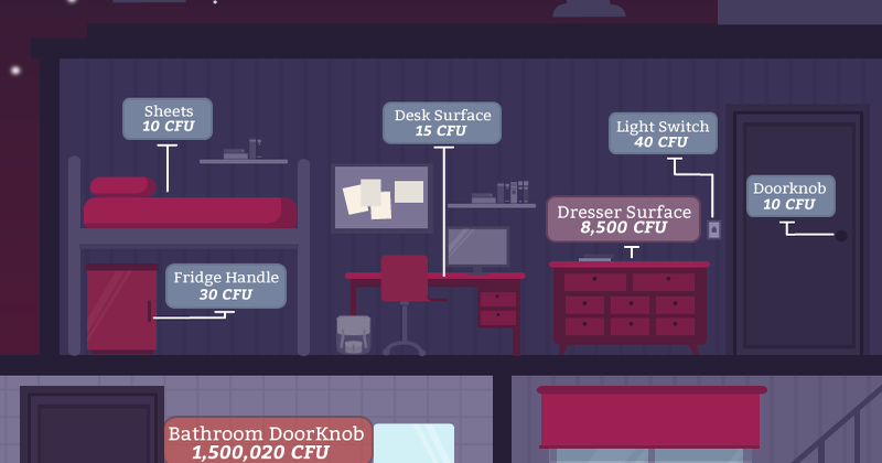 Whose dorm rooms are dirtier, men's or women's? Here's the answer