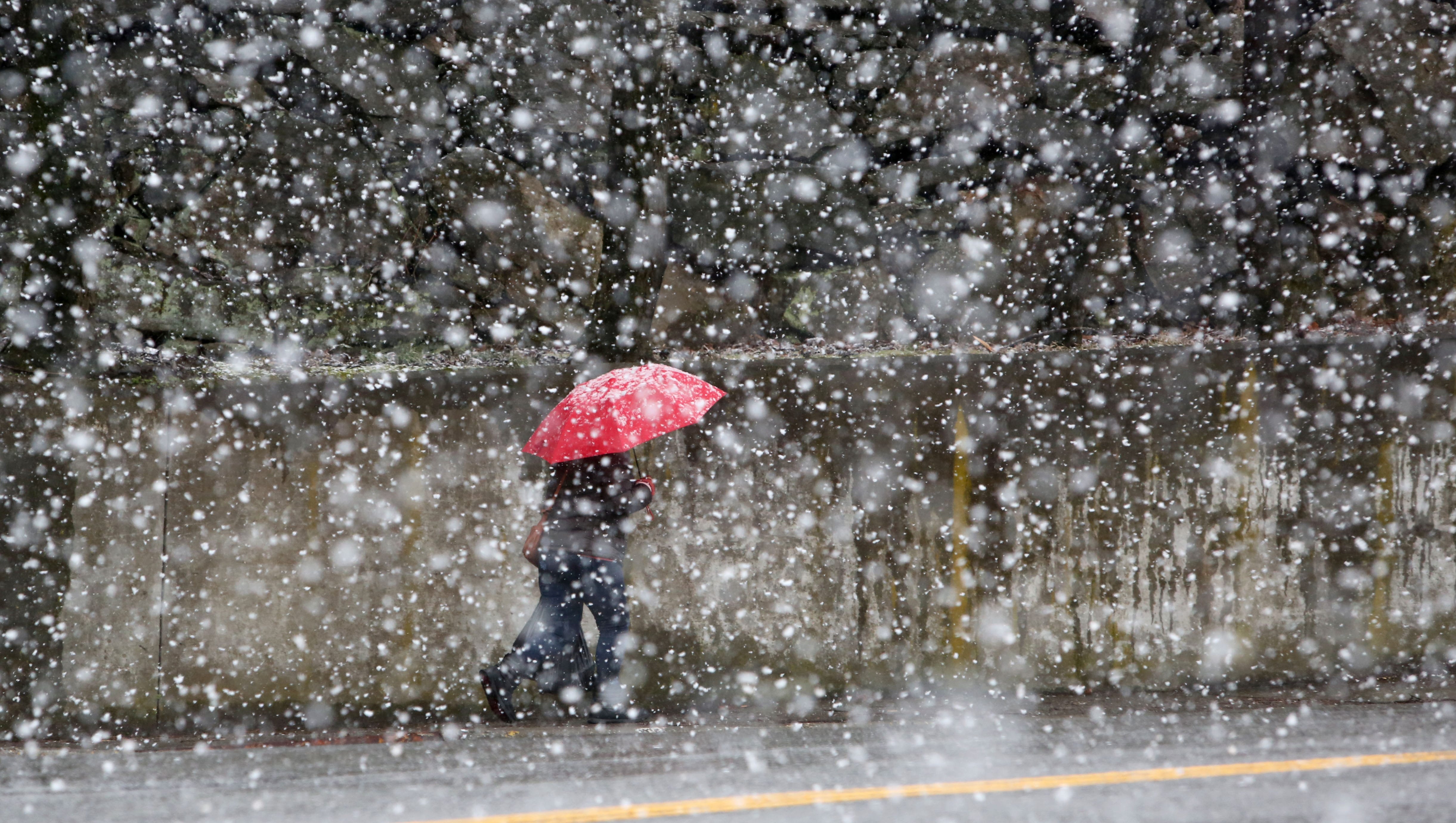 Nor Easter Quinn Hits Ny With Up To 16 Inches