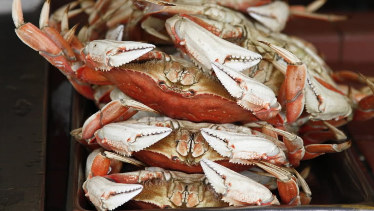 California Neurotoxin Levels In These Crabs Could Kill You