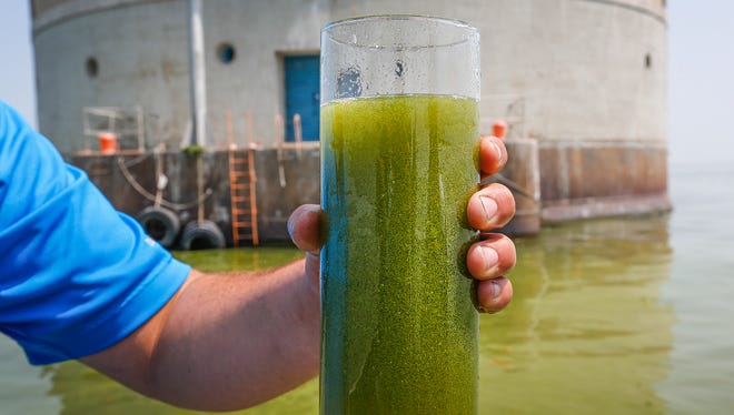 A glass of algae-filled Lake Erie water is pictured near the Toledo water intake crib in August 2014.