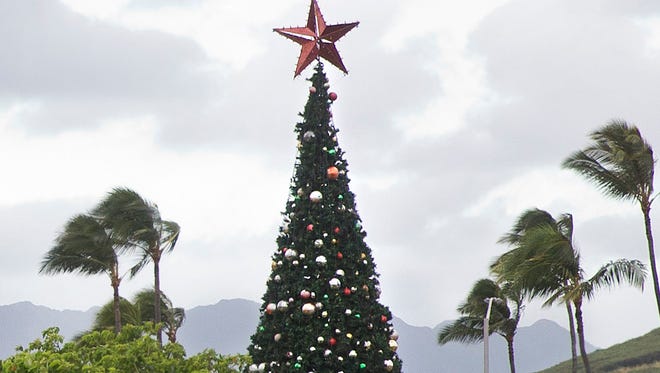 The motorcade carrying President Barack Obama passes a large Christmas tree on Marine Corps Base Hawaii as it takes the President to the gym Tuesday in Kailua, Hawaii, during the Obama family vacation. A blizzard warning is in effect for the summits of Mauna Kea and Mauna Loa on the Big Island of Hawaii.