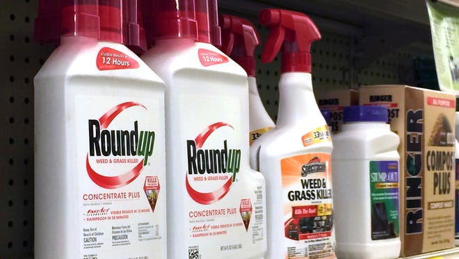 In this Thursday, Jan. 26, 2017, photo, containers of Roundup, left, a weed killer is seen on a shelf with other products for sale at a hardware store in Los Angeles. California regulators are taking a pivotal step toward requiring the popular weed killer Roundup to come with a warning label. The state's Office of Environmental Health Hazard Assessment announced Monday, June 26, 2017, that the weed killer's main ingredient, glyphosate, will be listed in July as a chemical known to cause cancer. (AP Photo/Reed Saxon)