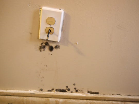 File photo: Mold grows on the wall in John Conner's living room at Southview Towers apartments on South Avenue in Rochester in January.