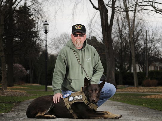 Requirements To Get A Ptsd Service Dog Requirements To Get A Ptsd Service Dog