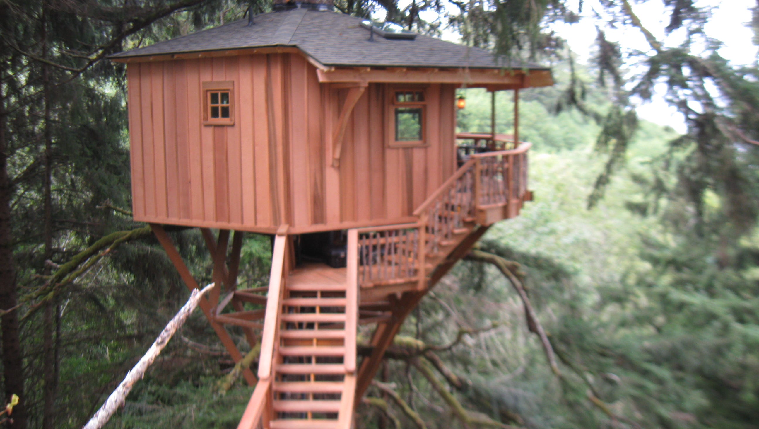 Treehouse Masters Fined For Illegal Treehouse In Oregon Here are a few things to keep in mind treehouse masters fined for illegal