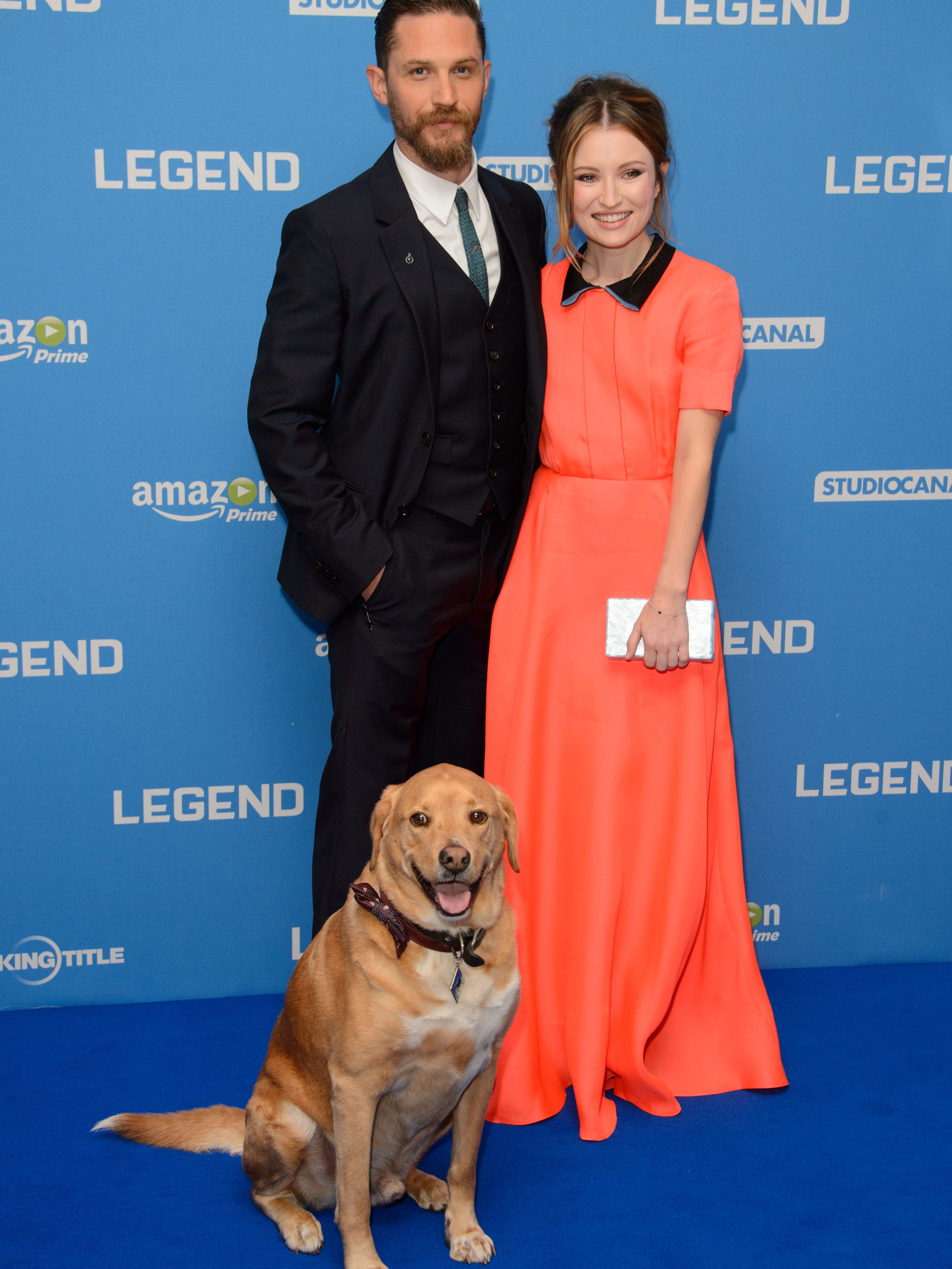 Drop Everything And Look At Tom Hardy S Dog On The Red Carpet