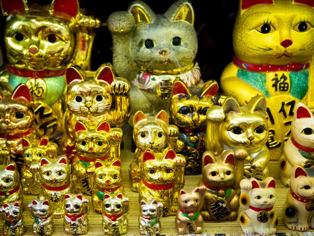 The Cat Collection That Became A Museum