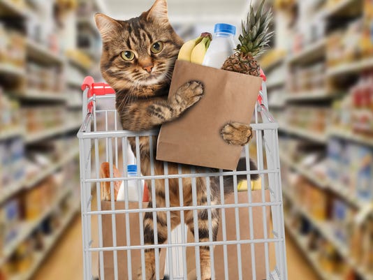 Get Pet Store Asheville Photos