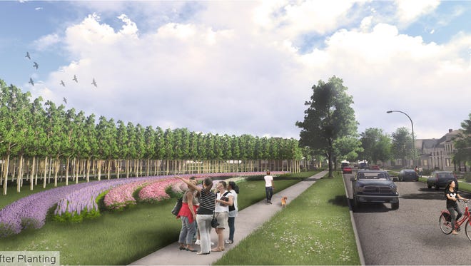 A rendering of a Fresh Coast Capital project in its fifth year after planting hybrid poplar trees on vacant property. The Chicago-based startup is expected to launch a pilot program on a vacant Spring Street parcel.