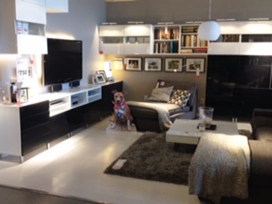 Tempe Ikea First Store In U S To Feature Shelter Pets