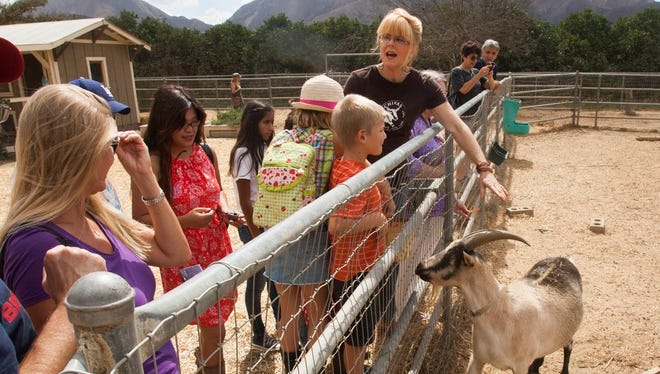 Donna Johanson of Chivas Skin Care in Fillmore talks about one of her French Alpine goats, Shrek, during Ventura County Farm Day. Tours of the farm and its on-site soap-making workshop will again be available — albeit by reservation — when the fifth annual Ventura County Farm Day takes place on Nov. 4.