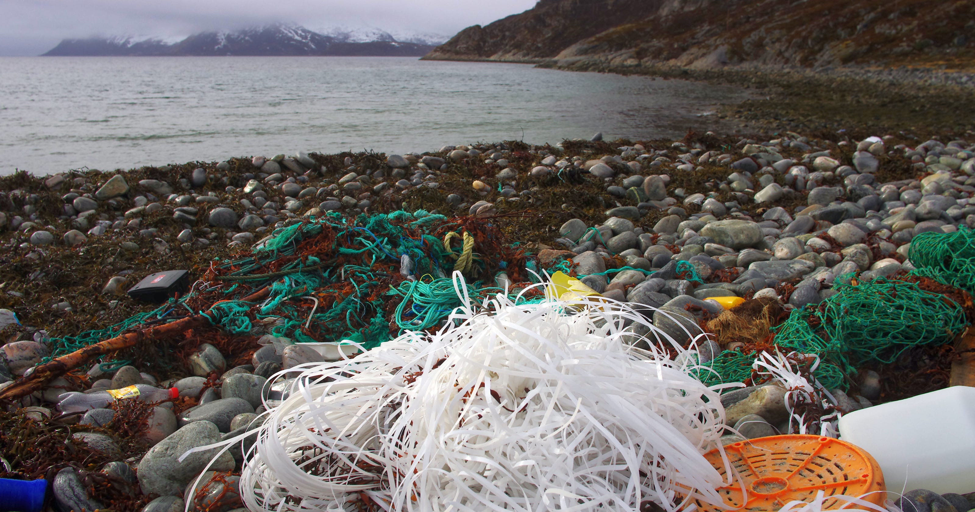 Plastic Atlantic Ocean pollution has increased exponentially