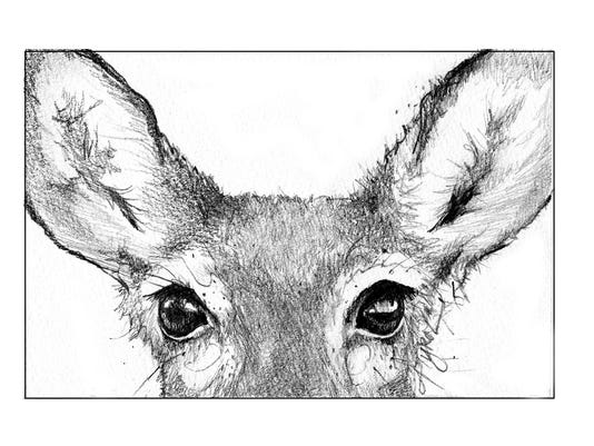 What Colors Can Deer See