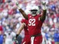 Arizona Cardinals defensive end Frostee Rucker (92)