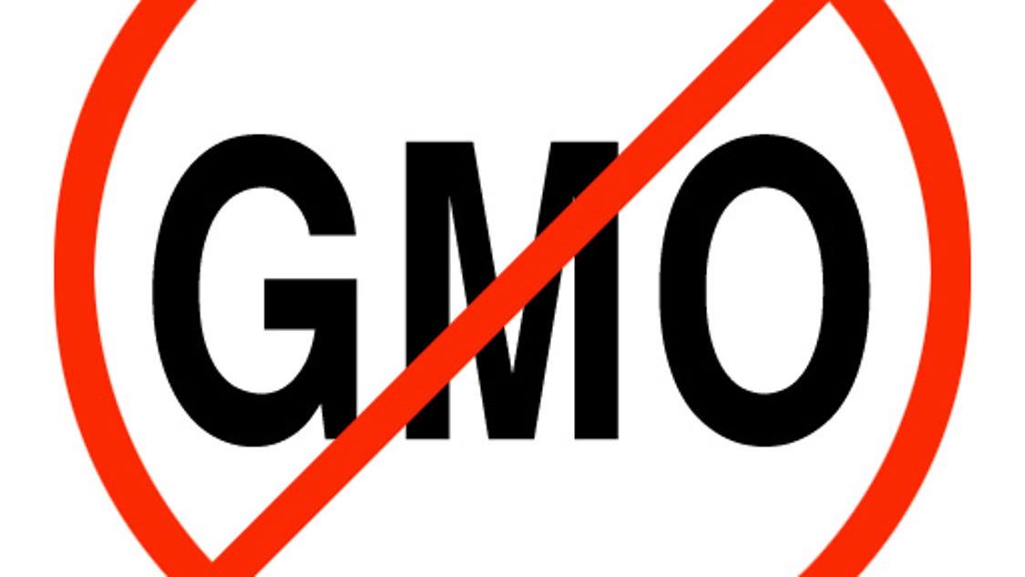 Genetically Modified Food Essay Thesis Genetically Modified Food Gmo Entry Level Marketing And S Resume Student Graduate Resume Essay Persuasive Essay Gmo Genetically Modified Food