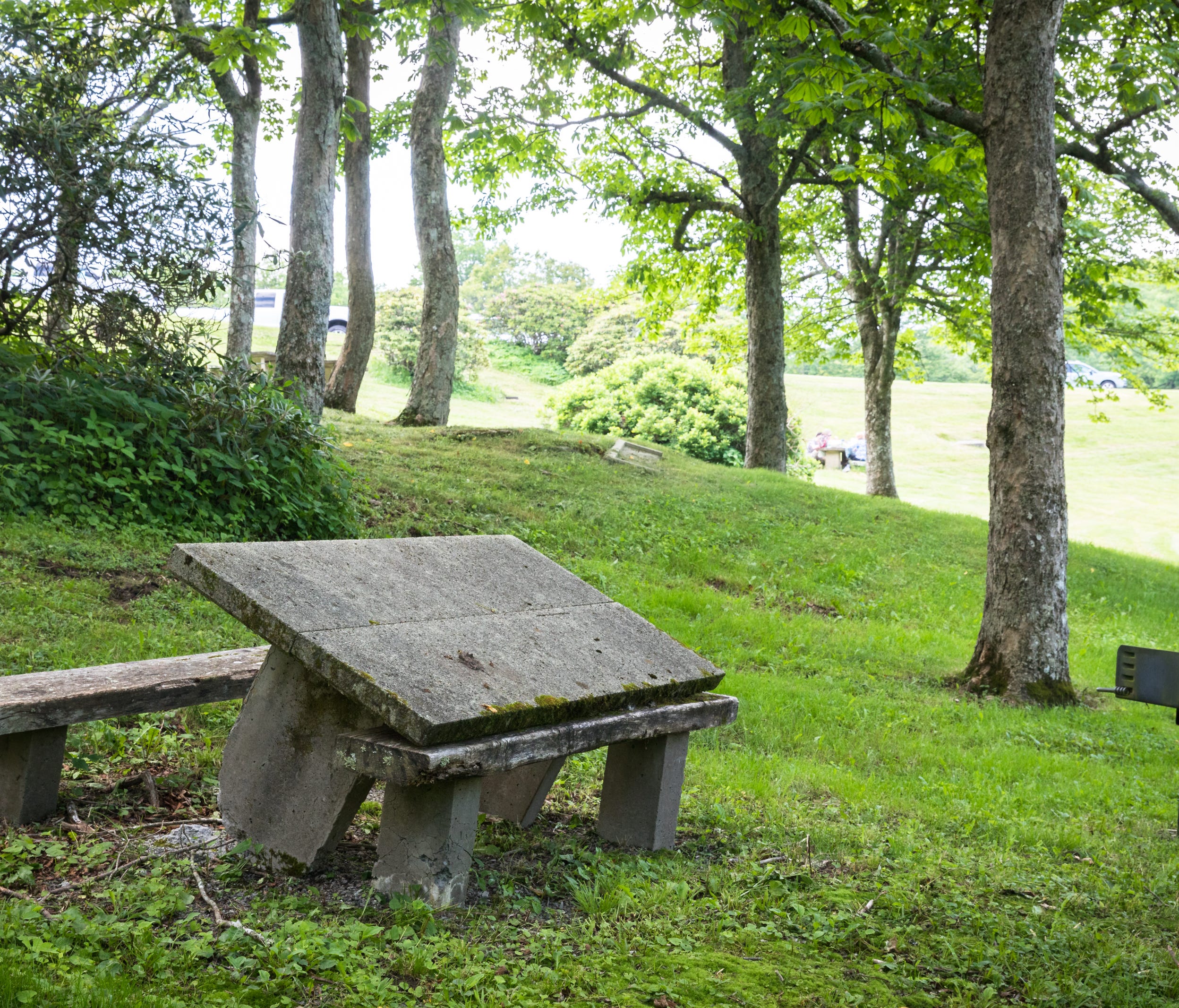One of the damaged concrete picnic tables at the Craggy Gardens picnic area.