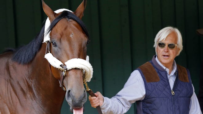 Trainer Bob Baffert walks American Pharoah inside the Preakness Barn after arriving for the 140th Preakness Stakes at Pimlico Race Course.