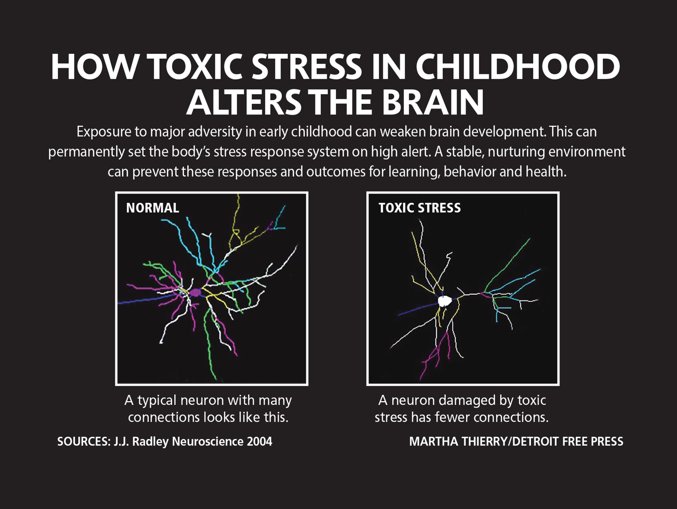 The Impact Of Early Stress: Protecting Your Baby's Brain Free Press special report: Could these solutions help Detroit's kids?