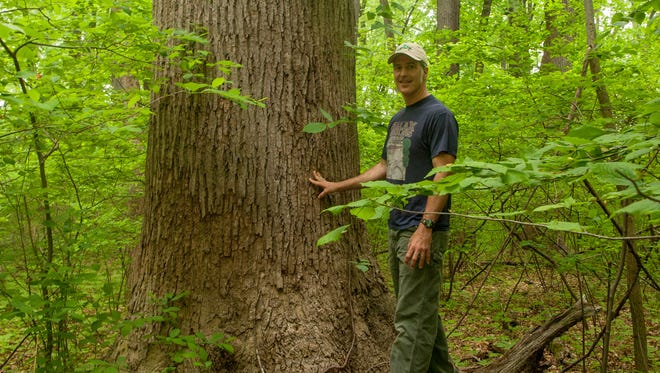 Craig Highfield explores Belt's Woods, a 43-acre old growth forest in a nature reserve owned and operated by Maryland’s Department of Natural Resources near Washington, D.C.
