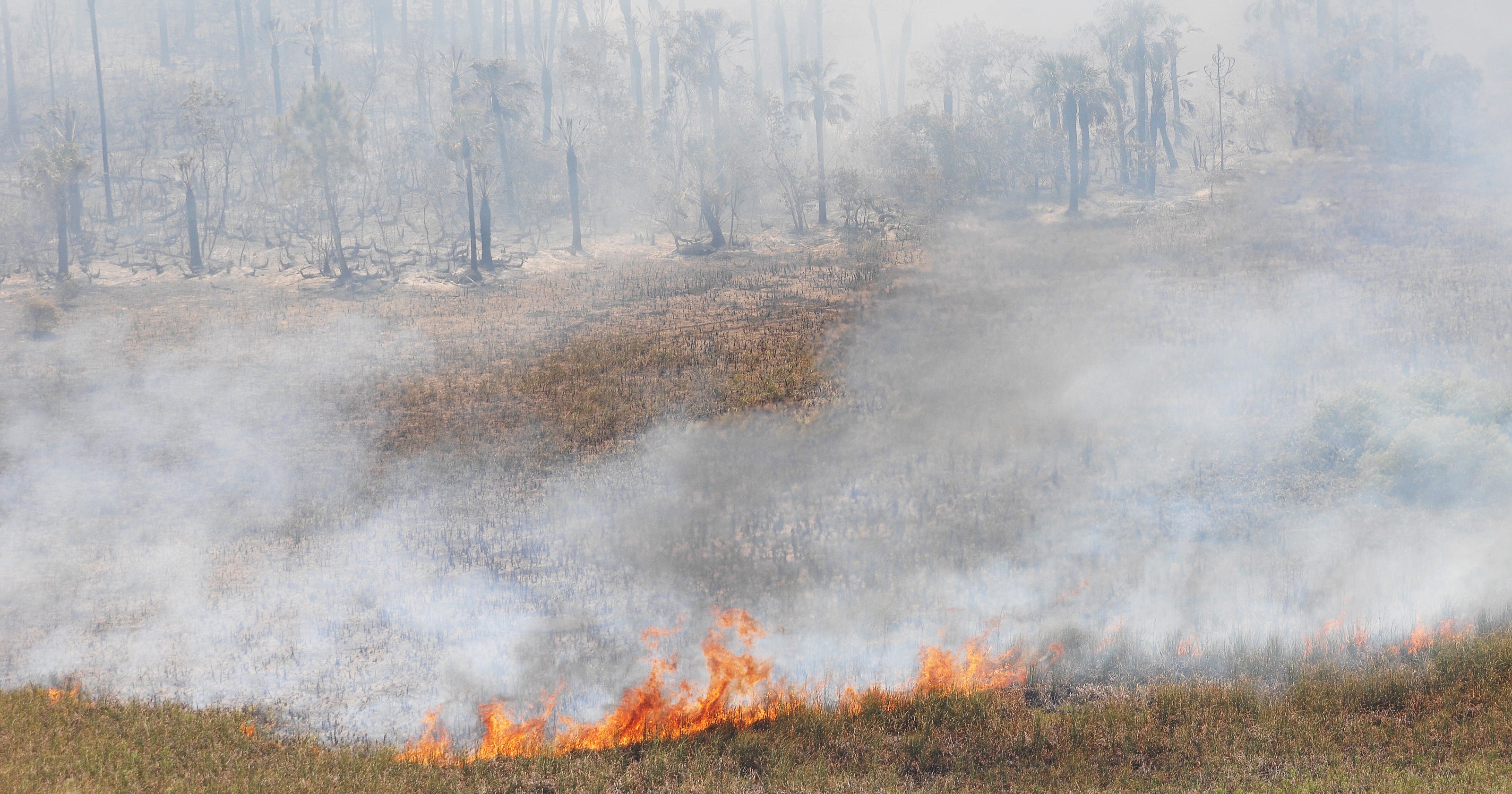 UPDATES Alligator Alley brush fire closings