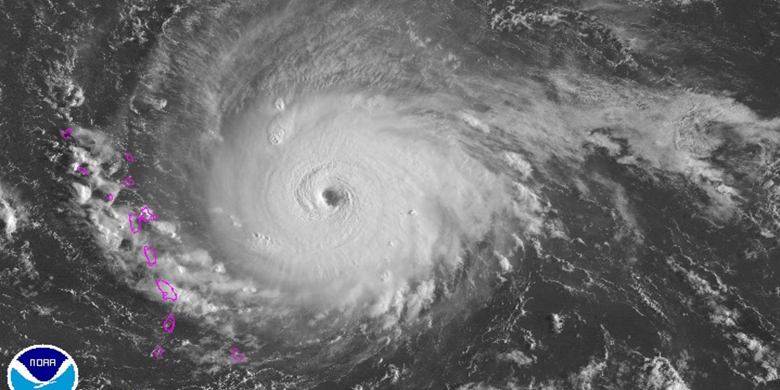 Hurricane Irma Carnival Royal Caribbean Norwegian Cancel More Trips