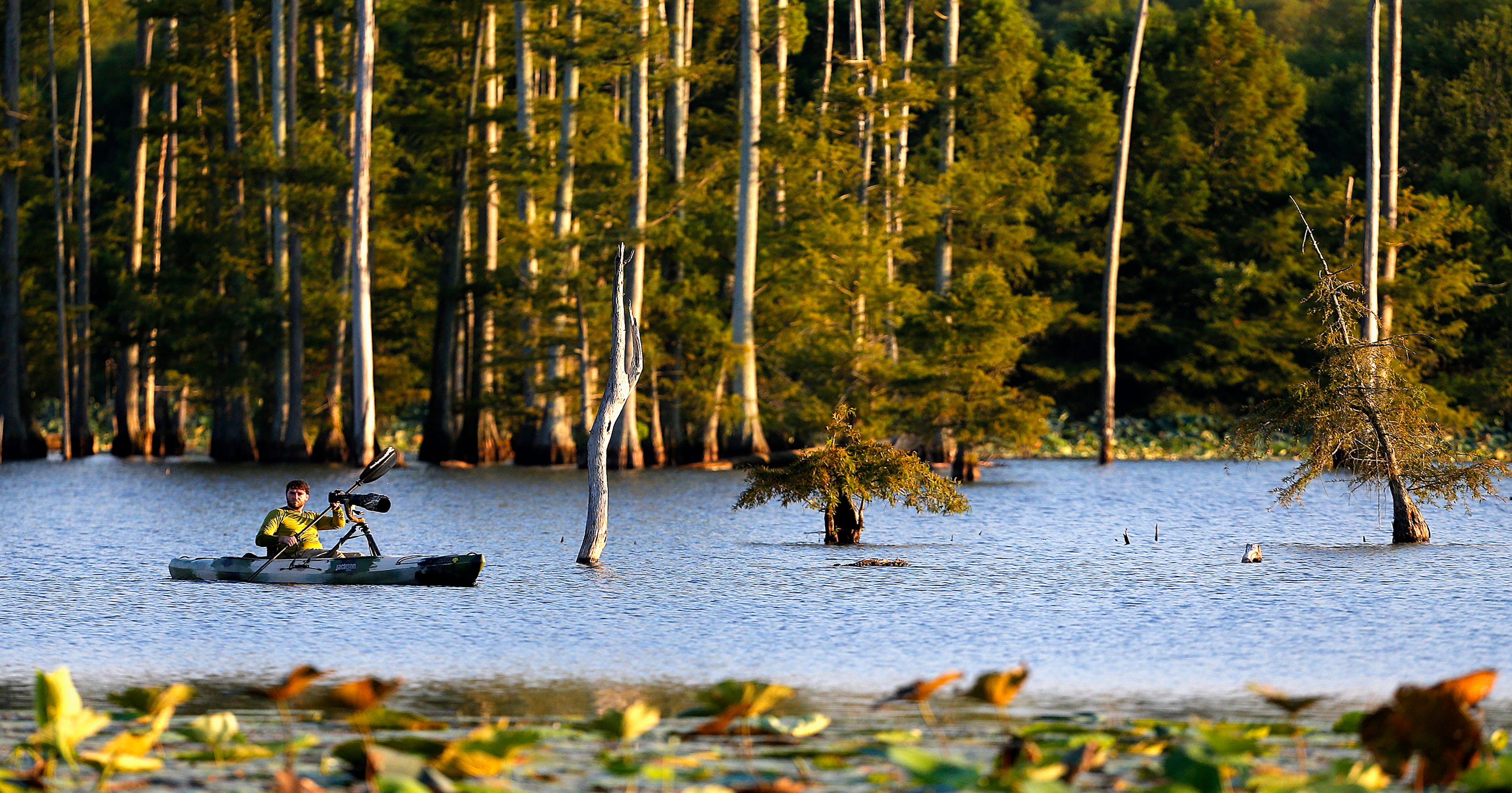 Despite efforts, pollution still plagues Tennessee waterways