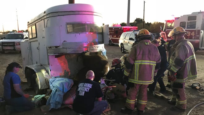 Phoenix Firefighters work with veterinarians to free a male horse trapped in a wrecked and abandoned horse trailer on April 14, 2018.