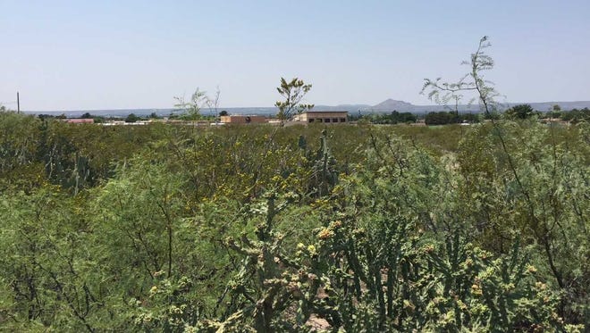 The city is seeking input on the development of vacant land to the east of Sierra Middle School.