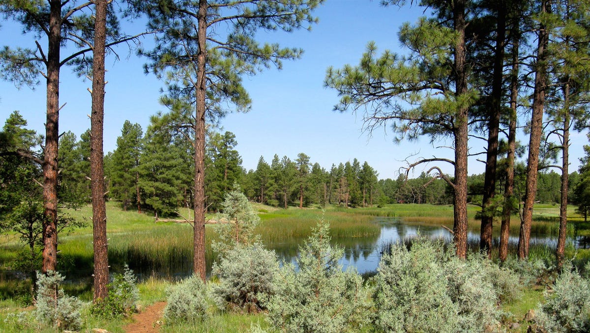 A powerful Southern California farm owner and energy mogul is accused of killing his estranged wife in their northern Arizona home.