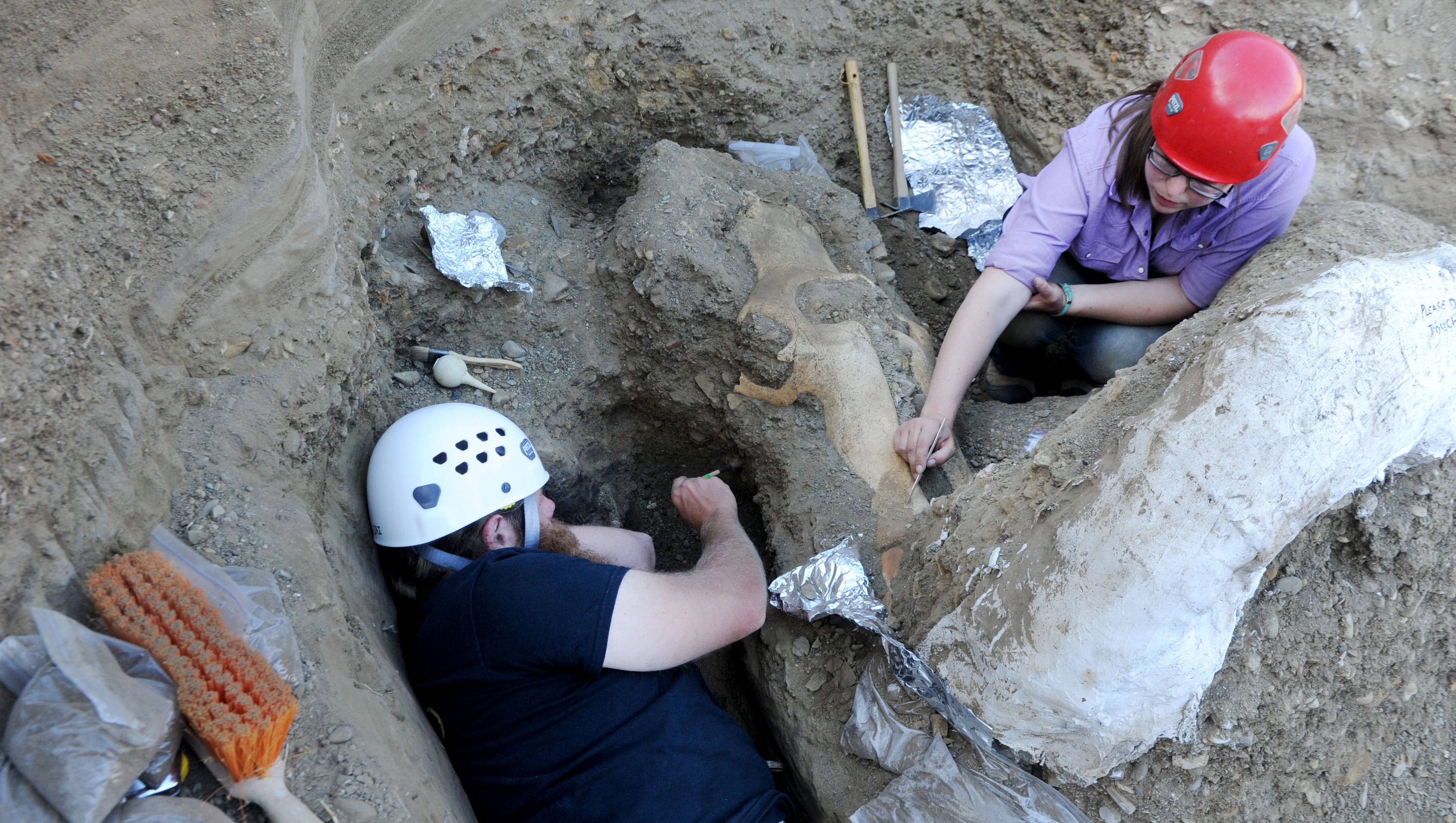 Rare Mammoth Fossil Found In National Park