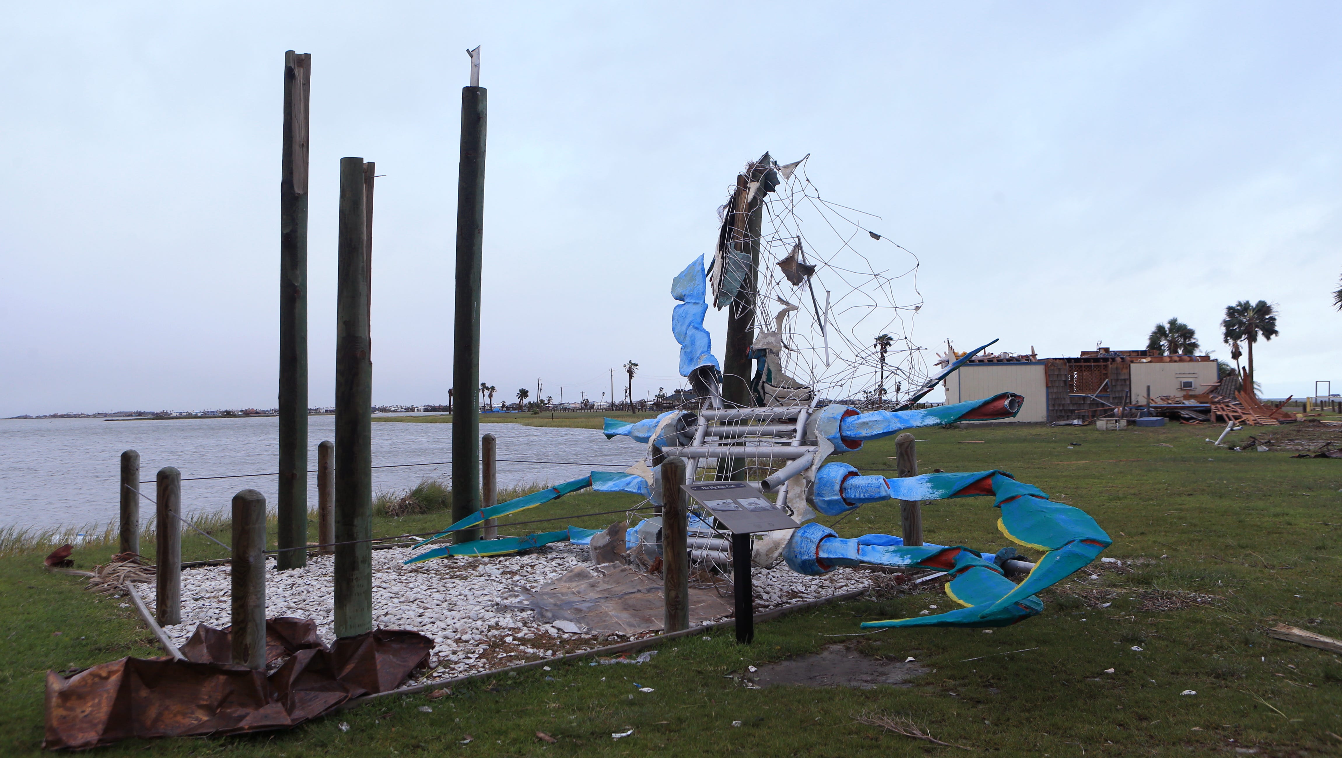 Fundraise Aims To Bring Back Rockport Blue Crab