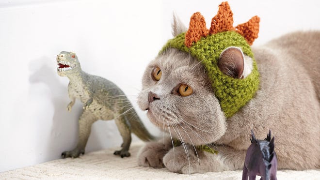 Dinosaur from the book “Cats in Hats,” published by Running Press. The book released on March 24, 2015.
