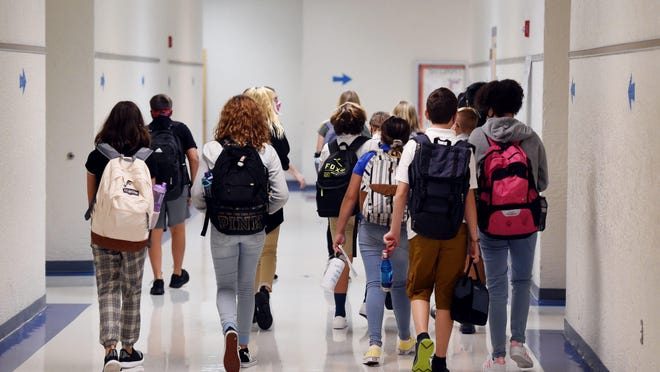 Cellular Respiration Process Equation