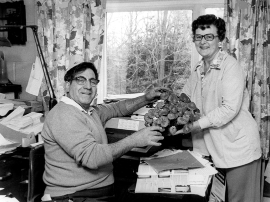 White Vintage Amateur Couples Porn - Whatever Happened to ... Doc and Katy Abraham's Green Thumb?