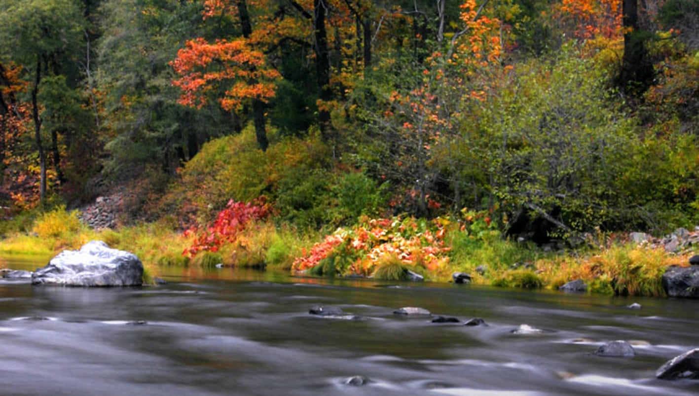 On Craigslist California ghost town, 225K