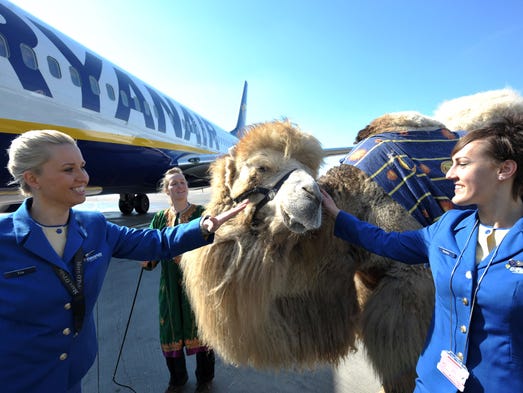 Two attendants of Europe's biggest low-cost airline