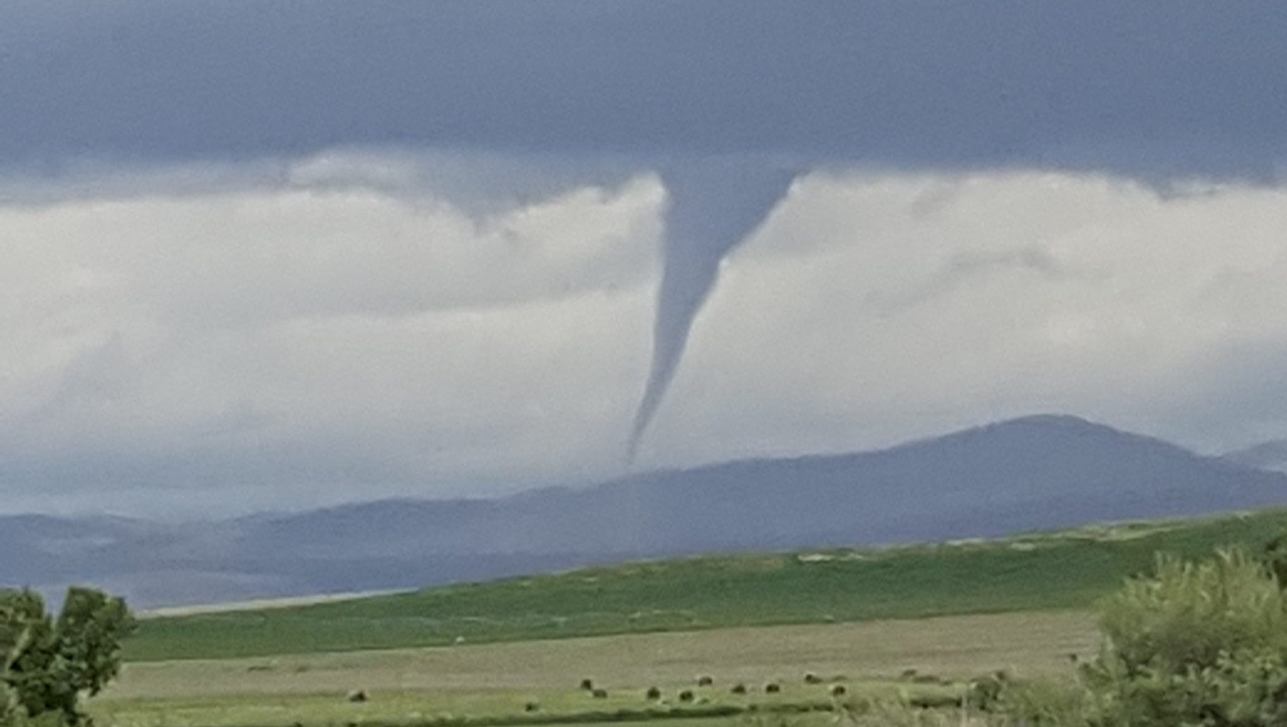 How often do tornadoes touch down in Montana?