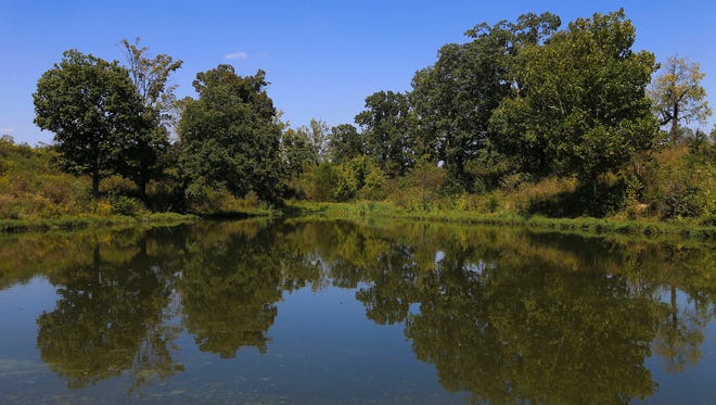 The William F. Miles Park features five lakes to fish from, including the Green Heron Lake at The Parklands.