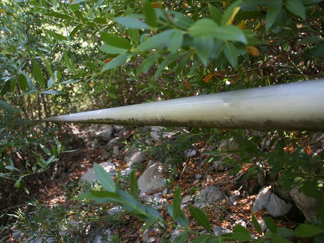 Nestle Is Still Taking Public Forest Water For Its Arrowhead Label With Feds Help