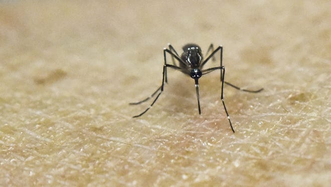 Arizona health officials say two Maricopa County residents who recently traveled to Latin American countries have tested positive for the Zika virus.
