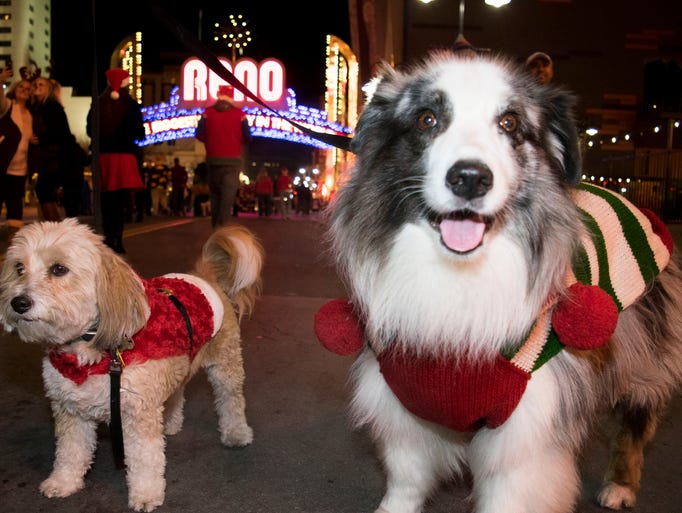 A scene from the Santa Crawl on Saturday in downtown
