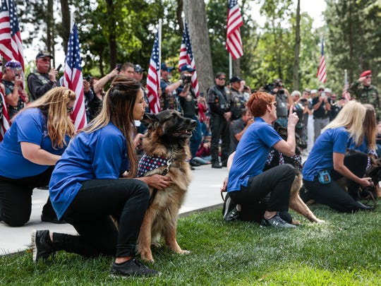 Michigan Marine Dog Cena Laid To Rest At The Arlington Of