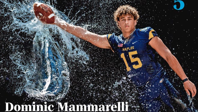 Dominic Mammarelli, Naples High School junior tight end, is No. 5 on The Big 15