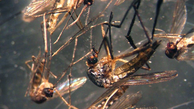 The Florida Department of Health has confirmed two cases of the Zika virus in Lee County on Tuesday, adding to the seven other cases already identified in Florida.